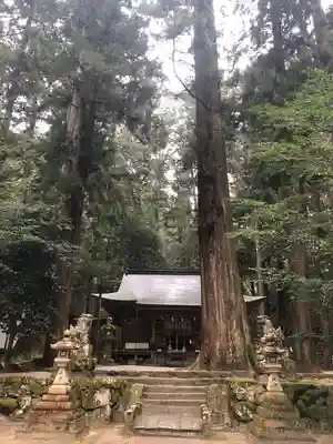 室生龍穴神社の本殿・本堂