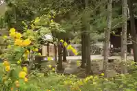 大國主神社の自然