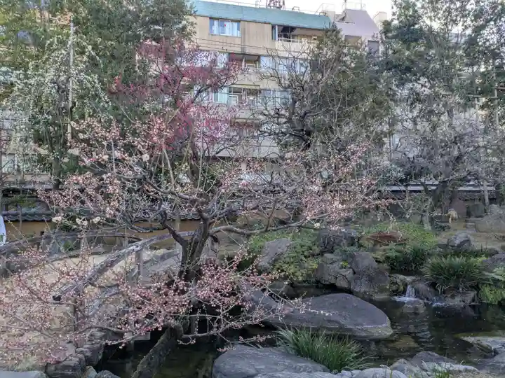 湯島天満宮(東京都)