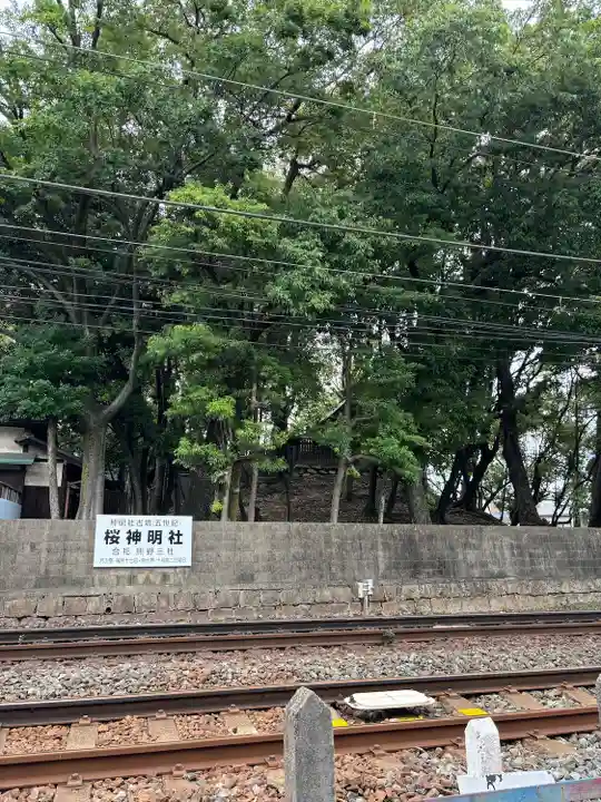 神明社(桜神明社)(愛知県)