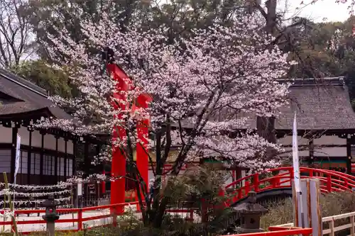 賀茂御祖神社（下鴨神社）(京都府)