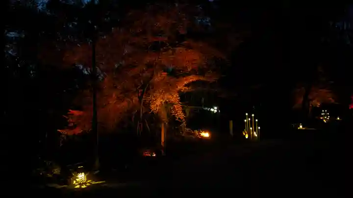賀茂御祖神社(下鴨神社)(京都府)