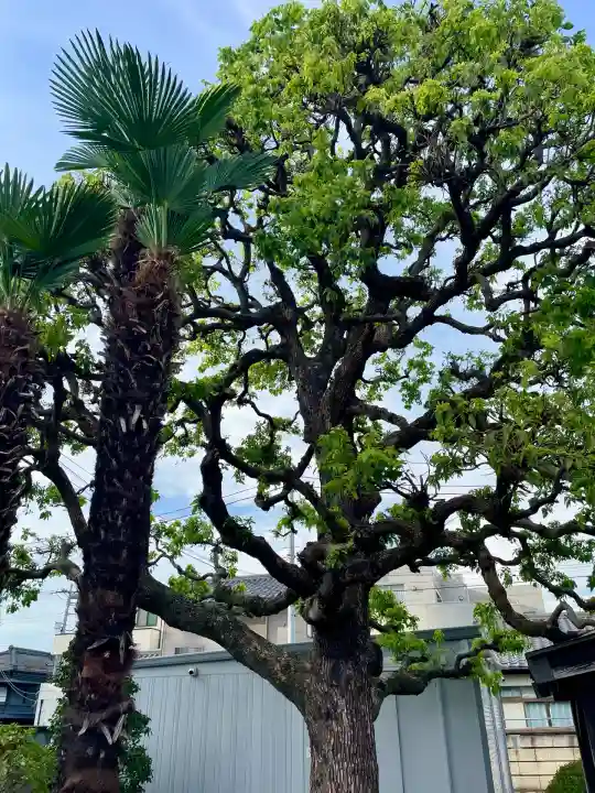 西光寺(茨城県)