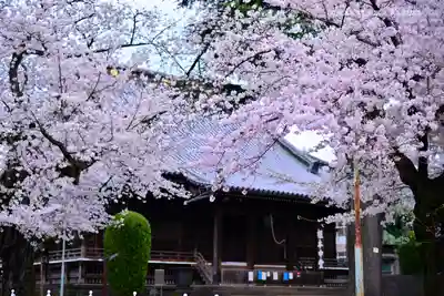 寛永寺(根本中堂)の本殿・本堂