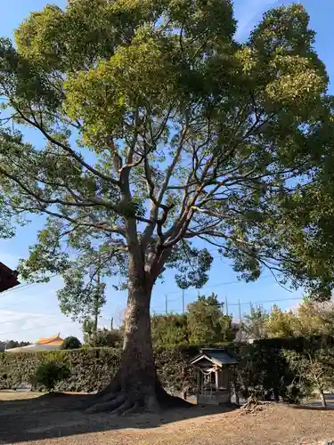 八幡神社(千葉県)