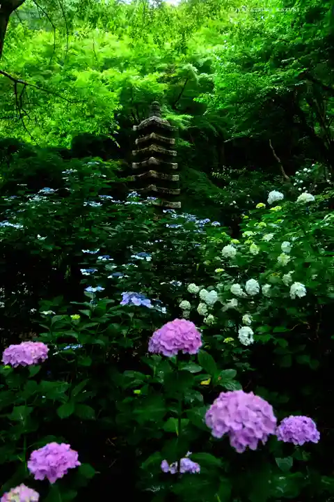 高幡不動尊 金剛寺(東京都)