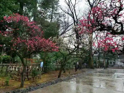 布多天神社(東京都)