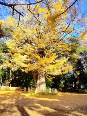 赤坂氷川神社(東京都)