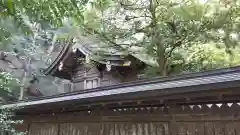 若狭彦神社（上社）の本殿