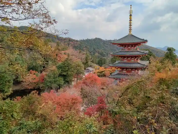 成相寺(京都府)