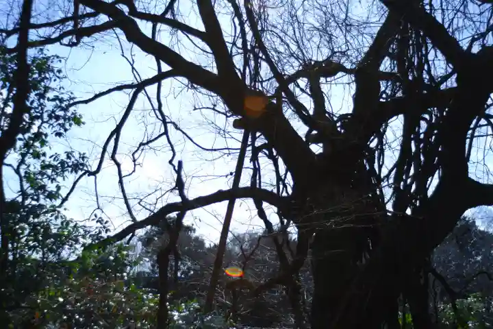 龍安寺(京都府)