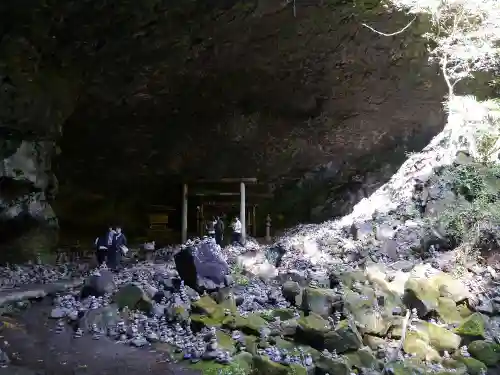 天岩戸神社の自然