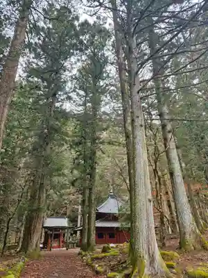 輪王寺(栃木県)