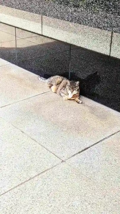 白金氷川神社の動物