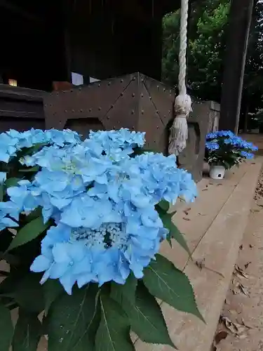伏木香取神社の自然