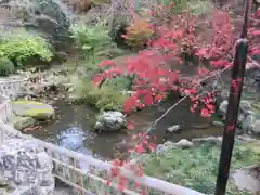 長谷寺の庭園