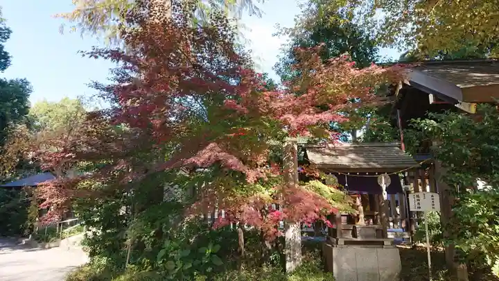 阿佐ヶ谷神明宮のその他建物