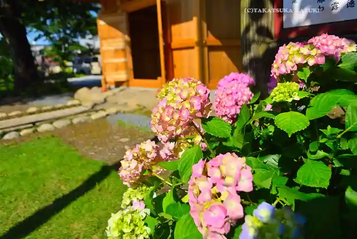 秩父札所十三番 慈眼寺(埼玉県)