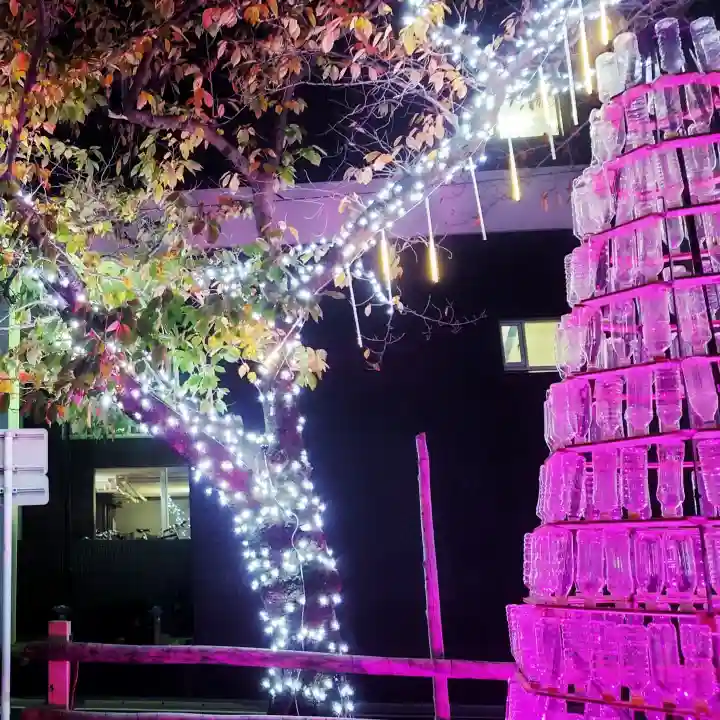 尾張大國霊神社(国府宮)の自然