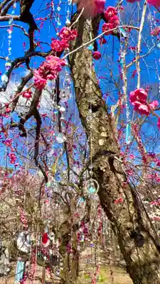 北野天満宮(京都府)