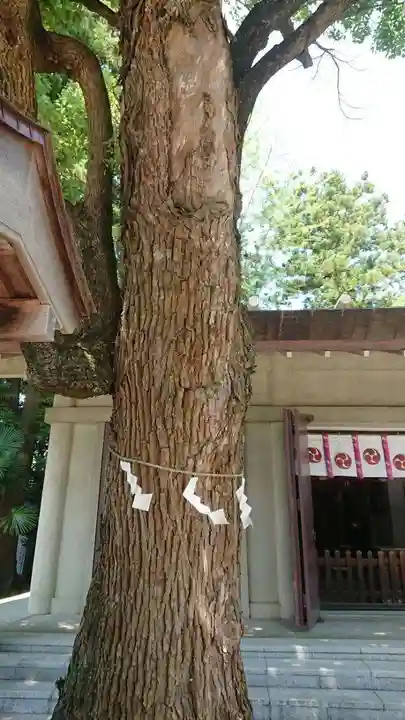 黒磯神社の自然