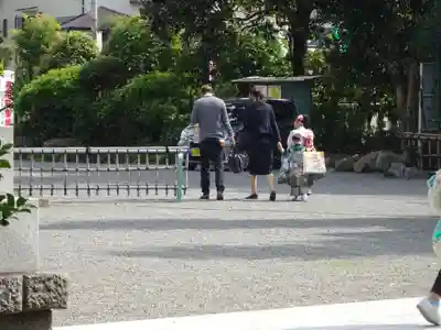 亀ケ池八幡宮の七五三参