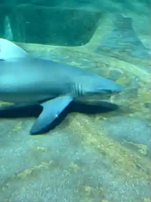 大洗磯前神社(茨城県)