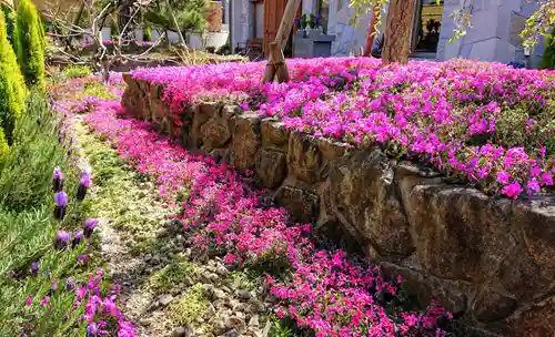 寿量山　速成寺の庭園