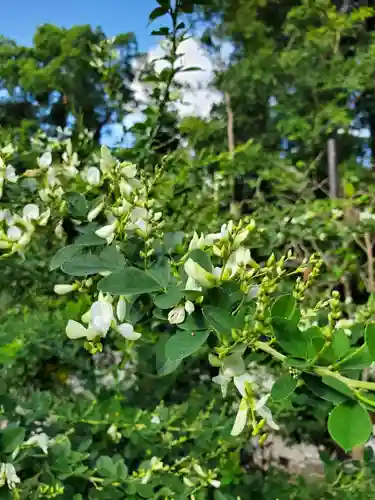 沙沙貴神社(滋賀県)