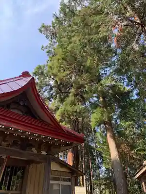 白山神社の本殿・本堂