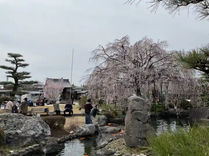 正眼寺(愛知県)
