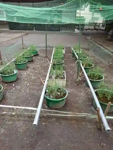 小平神明宮の庭園