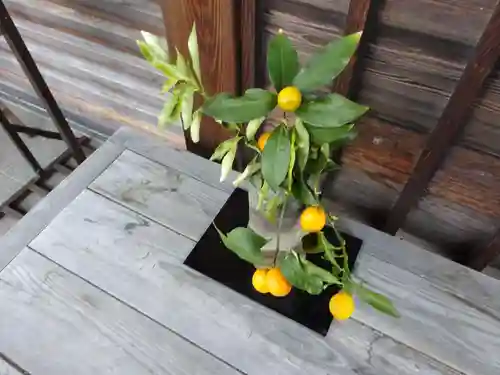 妙蓮寺(神奈川県)