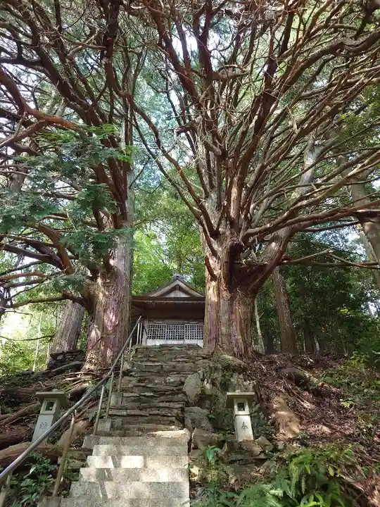 須佐之男神社(愛知県)