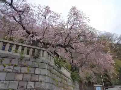 根岸八幡神社(神奈川県)