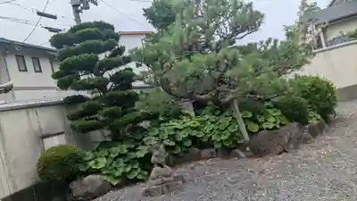 安穏寺(京都府)