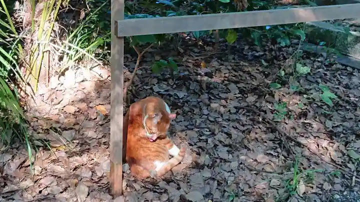 熱田神宮のその他建物