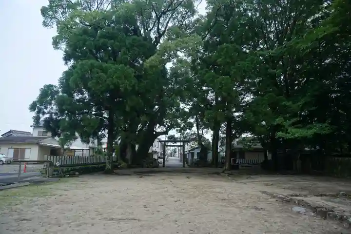 補陀洛山寺の自然