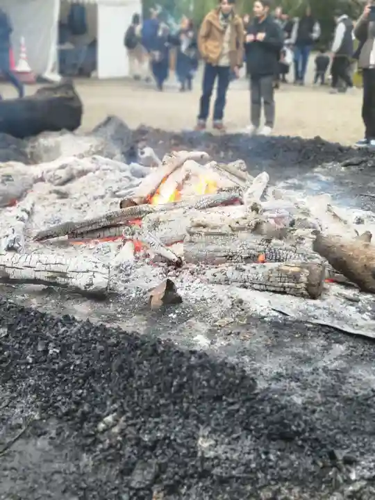 賀茂御祖神社(下鴨神社)の初詣