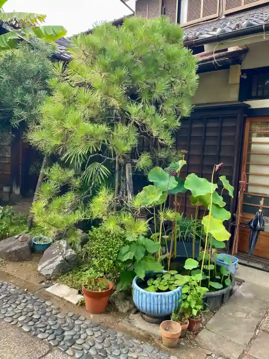 洞雲寺(東京都)