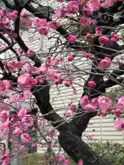 三宮神社の自然