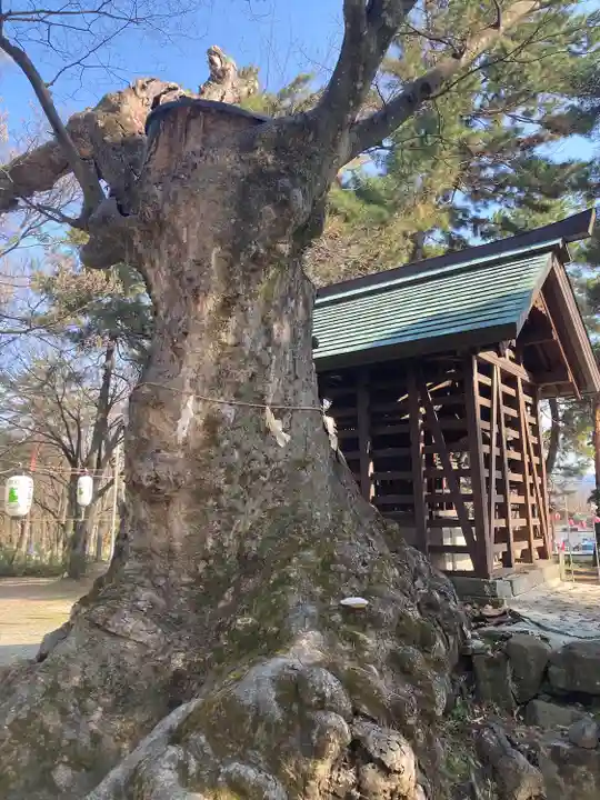 川中島古戦場八幡社(長野県)
