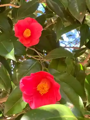 大宮大神(茨城県)