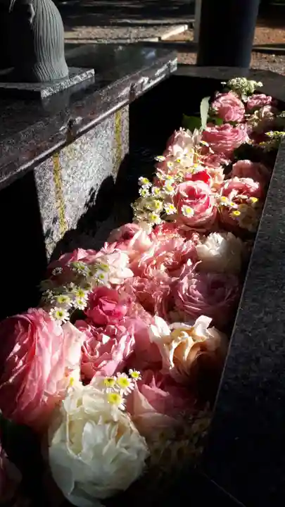 新琴似神社の手水舎