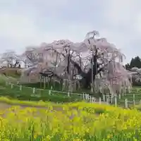 豊景神社の自然