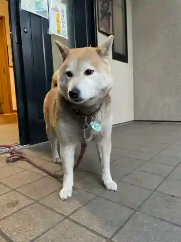 笠䅣稲荷神社(神奈川県)