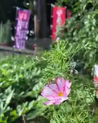 高司神社〜むすびの神の鎮まる社〜の自然