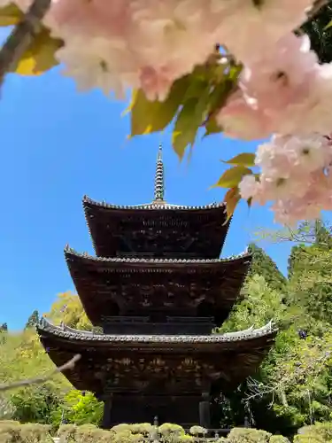 園城寺（三井寺）の建物その他