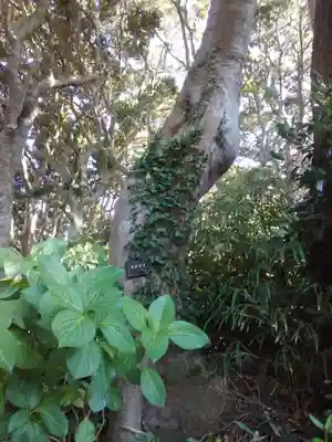 酒列磯前神社(茨城県)