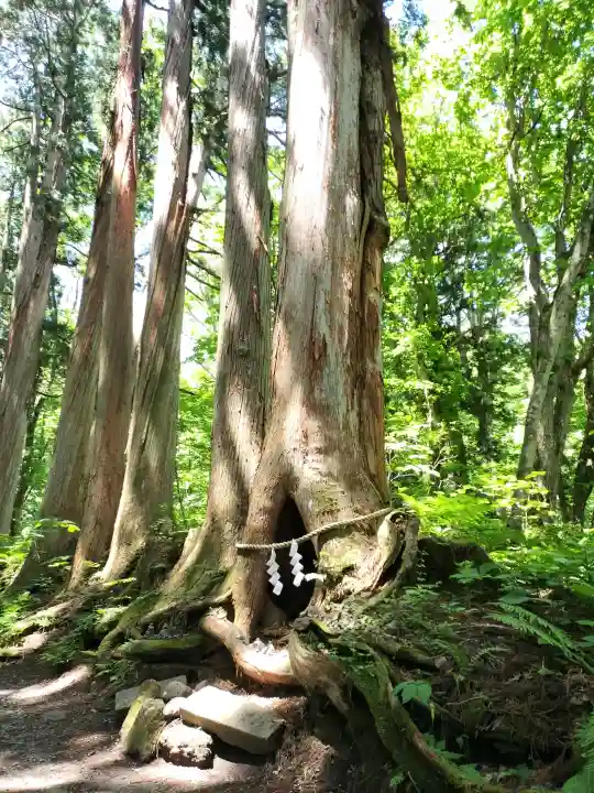 戸隠神社奥社(長野県)